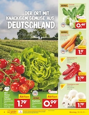 Tomaten im Netto Marken-Discount Prospekt in Lippstadt Aktueller Netto Marken-Discount Prospekt mit Tomaten, "Aktuelle Angebote", Seite 4