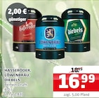 Perfect Draft Angebote von Hasseröder bei Getränke Quelle Weydringer Paderborn für 16,99 €