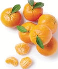 Promo Mandarine avec feuilles à 2,79 € dans le catalogue Supermarchés Match à Auchel