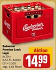 Premium Czech Lager im Angebot bei REWE in Amberg Premium Czech Lager Angebote von Budweiser bei REWE Amberg für 14,99 €