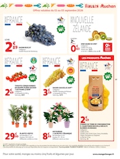 Promos Tomate dans le catalogue "LES TOPS DE LA RENTRÉE" de Auchan Hypermarché Tomate en promo dans le catalogue Auchan Hypermarché à la page 49