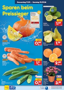 Blumen im Netto Marken-Discount Prospekt "Aktuelle Angebote" mit 71 Seiten (Hamburg)