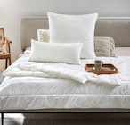 Ganzjahresbett im Angebot bei XXXLutz Möbelhäuser in Göttingen Ganzjahresbett Angebote von centa-star bei XXXLutz Möbelhäuser Göttingen für 39,99 €