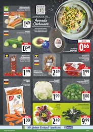 Pilze Angebot im aktuellen EDEKA Prospekt auf Seite 3