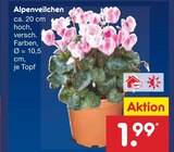 Alpenveilchen von  im aktuellen Netto Marken-Discount Prospekt für 1,99 €