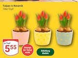 Tulpen in Keramik Angebote bei GLOBUS Oberhausen für 5,55 €