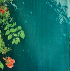 Canisse Verte Simple Face - U en promo chez Super U Le Mans à 22,85 €