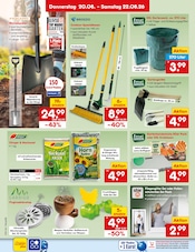 Ähnliche Rollrasen Angebote im Prospekt "Aktuelle Angebote" von Netto Marken-Discount in Karlsruhe Ähnliche Angebote wie Rollrasen im Prospekt "Aktuelle Angebote" auf Seite 40 von Netto Marken-Discount in Karlsruhe