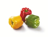 Paprika Mix Angebote bei Lidl Memmingen für 2,19 €