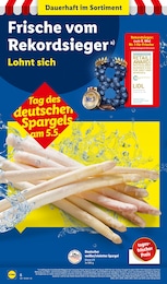 Spargel Angebot im aktuellen Lidl Prospekt auf Seite 6