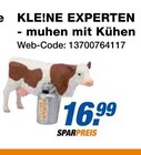 Angebot im expert Brunsbüttel Prospekt expert Brunsbüttel Prospekt mit im Angebot für 16,99 €
