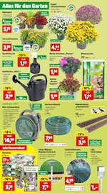 Gartenbeleuchtung Angebote im Prospekt "Top Angebote" von Thomas Philipps auf Seite 2