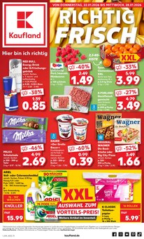 Kaufland Zerbst Prospekt der aktuellen Woche, gültig von 22.01.2026 bis 28.01.2026 Aktueller Kaufland Zerbst Prospekt "Aktuelle Angebote" mit 59 Seiten