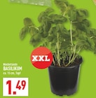 Aktuelles Basilikum Angebot bei Marktkauf in Dortmund ab 1,49 €