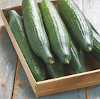 Concombre dans le catalogue Intermarché