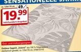 Outdoor-Teppich „Esterni“ im Segmüller Prospekt Outdoor-Teppich „Esterni“ von im aktuellen Segmüller Prospekt für 19,99 €