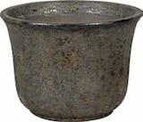 Pflanzgefäß Tokio im Pflanzen Kölle Prospekt zum Preis von 6,99 €