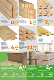 Holz Angebot im aktuellen Globus-Baumarkt Prospekt auf Seite 13
