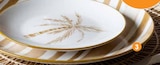 Assiette plate motif rayures dans le catalogue B&M