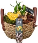 Blütenoffensive dekorativer Korb Angebote von PT Creation bei REWE Straubing für 6,99 €