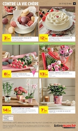 Promos Plante Verte dans le catalogue "25% DE REMISE IMMÉDIATE OU D'AVANTAGE CARTE" de Intermarché Super Plante Verte en promo dans le catalogue Intermarché Super à la page 11