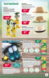 Hut im Kiebitzmarkt Prospekt in Celle Aktueller Kiebitzmarkt Prospekt mit Hut, "Mai-Feiertage", Seite 5