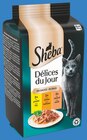 -30% de remise immédiate sur tout Sheba à Bi1 dans Rosnay-l'Hôpital -30% de remise immédiate sur tout Sheba à Bi1 dans Rosnay-l'Hôpital