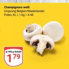 Champignons weiß im Angebot bei GLOBUS in Gera Champignons weiß Angebote bei GLOBUS Gera für 1,79 €