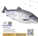 Lachs von Bömlo im aktuellen Metro Prospekt für 