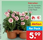 Edelnelken Angebote bei Netto Marken-Discount Hürth für 5,99 €