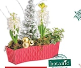 Promo Chemin de table à 17,50 € dans le catalogue Botanic à Sisteron