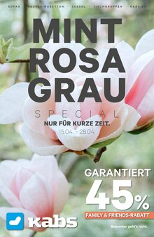 Aktueller Kabs Prospekt "Mint Rosa Grau Special!" Seite 1 von 16 Seiten für Essen