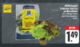 Aktuelles Fränkisches Salat Trio mit Wurzelballen Angebot bei EDEKA in Nürnberg ab 1,49 €