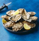 Huitre fine de normandie - Super U à Palaiseau Huitre fine de normandie en promo chez Super U Palaiseau à 11,40 €