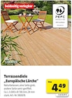 Terrassendiele 'Europäische Lärche' Angebote von Mr. Gardener bei Hagebaumarkt Wismar für 4,49 €