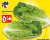 Aktuelle Salat Angebote bei E center in Duisburg Aktuelles Mini-Romanasalat Angebot bei E center in Duisburg ab 0,66 €