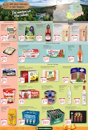 Radeberger im GLOBUS Prospekt in Altenburg Aktueller GLOBUS Prospekt mit Radeberger, "Aktuelle Angebote", Seite 17