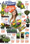 Gartenbaustoffe Gartenbaustoffe