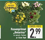 Rosenprimel 'Belarina' von  im aktuellen EDEKA Prospekt für 2,99 €