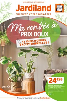 Sapin Nordmann Jardiland Promo Et Prix Dans Le Catalogue En Cours Sapin Nordmann Jardiland Promo Et Prix Dans Le Catalogue En Cours