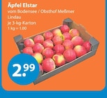 V-Markt - Äpfel Elstar Angebot im Prospekt Äpfel Elstar bei V-Markt im Prospekt "" für 2,99 €