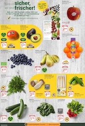 Mango im GLOBUS Prospekt in Leipzig Aktueller GLOBUS Prospekt mit Mango, "Aktuelle Angebote", Seite 7