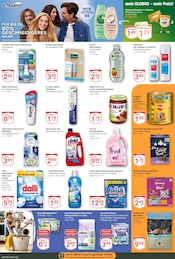 Aktueller GLOBUS Prospekt mit Hundefutter, "Aktuelle Angebote", Seite 19