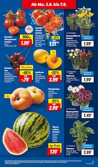 Gemüse im aktuellen Lidl Prospekt (Wuppertal) Gemüse im Lidl Prospekt "LIDL LOHNT SICH" mit 70 Seiten (Wuppertal)