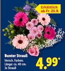Bunter Strauß im Lidl Prospekt Bunter Strauß im aktuellen Lidl Prospekt für 4,99 €