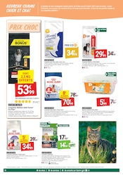 Promos Croquettes Chien dans le catalogue "DES PROMOS vertIGINEUSES" de Gamm vert Croquettes Chien en promo dans le catalogue Gamm vert à la page 10