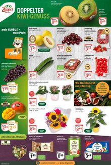 Erdbeeren im aktuellen GLOBUS Prospekt (Koblenz) Erdbeeren im GLOBUS Prospekt "Aktuelle Angebote" mit 38 Seiten (Koblenz)