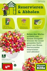Pflanzen Kölle Prospekt für Oststeinbek mit 24 Seiten Pflanzen Kölle Prospekt für Oststeinbek: "Reservieren & Abholen!", 24 Seiten, 25.02.2021 - 03.03.2021