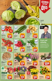 Blumen im aktuellen REWE Prospekt (Augsburg) Blumen im REWE Prospekt "Dein Markt" mit 26 Seiten (Augsburg)