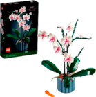 Aktuelle Zimmerpflanzen Angebote bei Marktkauf in Hamburg Aktuelles Orchidee "10311" Angebot bei Marktkauf in Hamburg ab 29,99 €